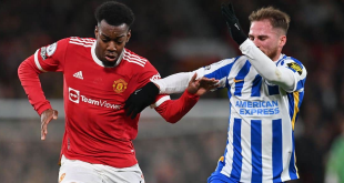 Manchester United vs Brighton